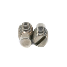 High Quality SUS 316 Stainless Steel slotted set Screws